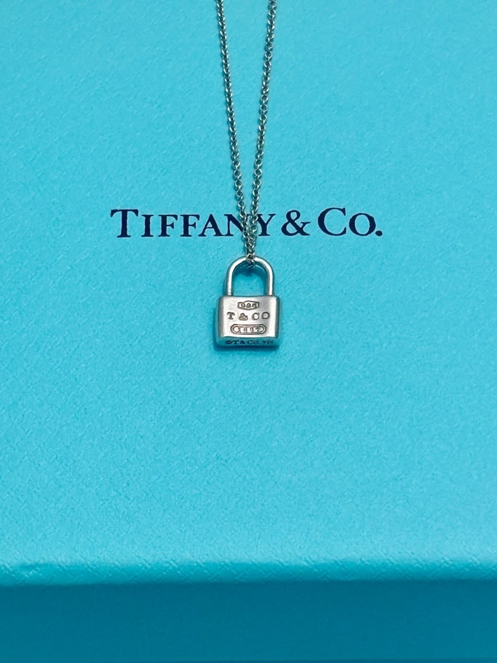 Authentic Tiffany & Co Mini Padlock Necklace